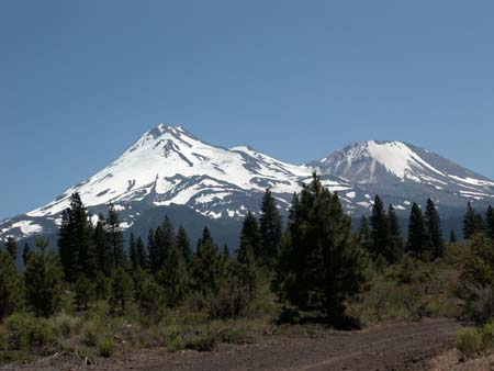 shasta02