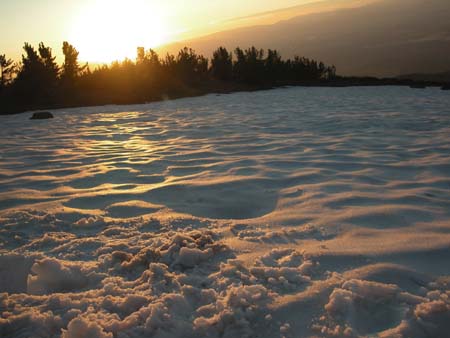 shasta09