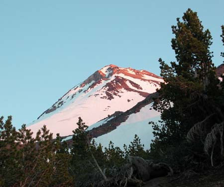 shasta11