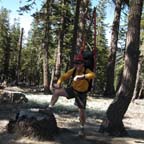 shasta04