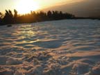 shasta09
