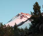 shasta11