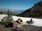 shasta13