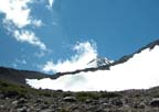 shasta14
