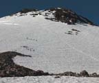 shasta18