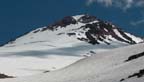 shasta39